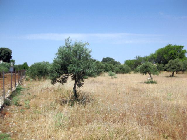 Terreno en venta en Urbanización Montepinar, el Baix Segura / La Vega Baja