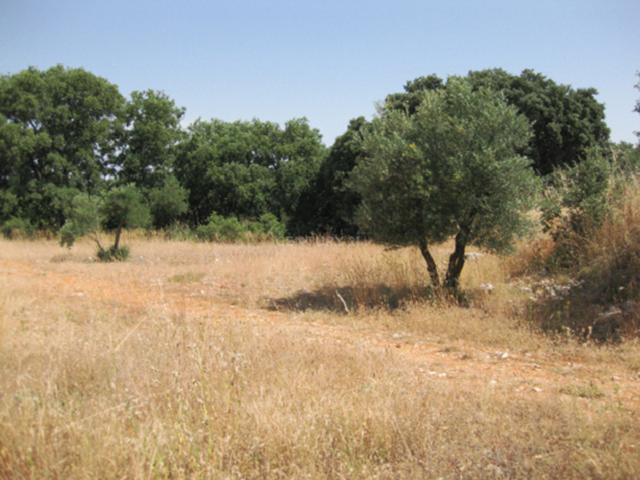 Terreno en venta en Urbanización Montepinar, el Baix Segura / La Vega Baja