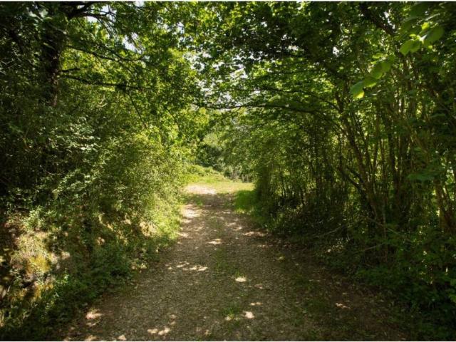 Terreno en venta en Arenas De Iguña, Cantabria
