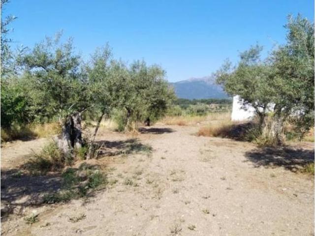 Terreno en venta en Arenas De San Pedro