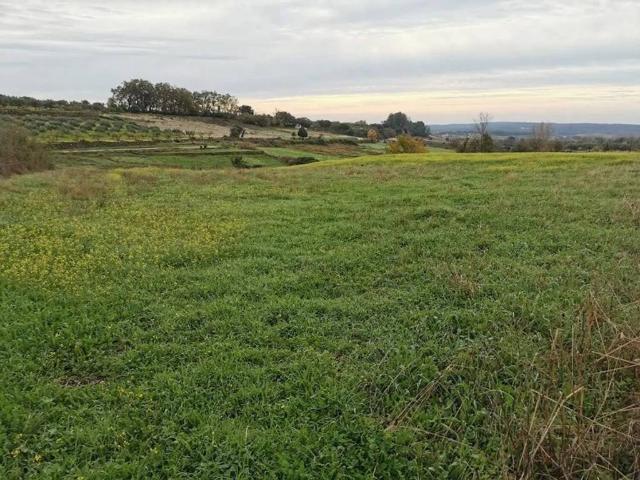Terreno en venta en Arenas De San Pedro