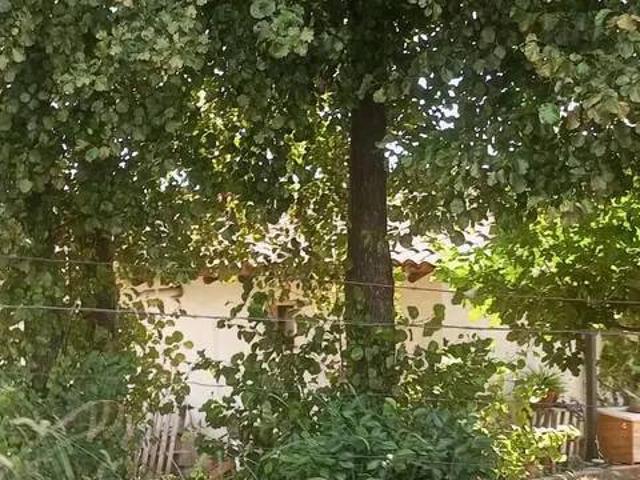 Terreno en venta en Arenas De San Pedro, Castilla y León