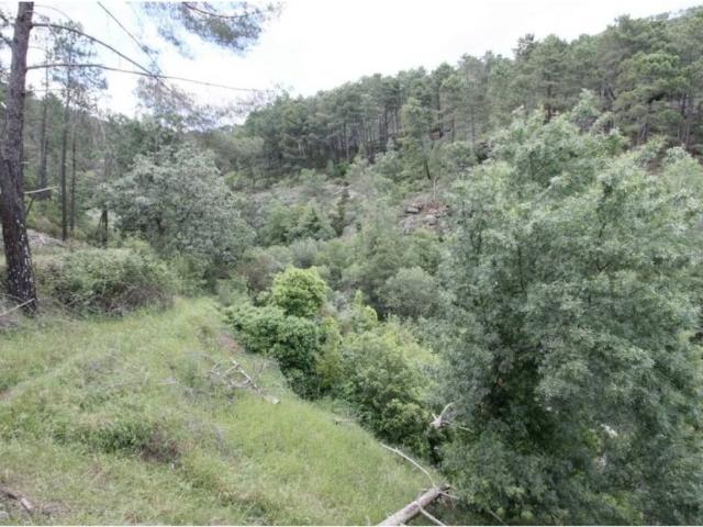 Terreno en venta en Arenas De San Pedro, Castilla y León