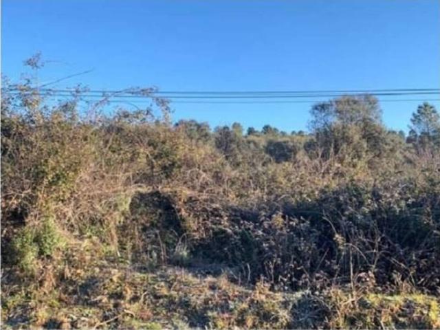 Terreno en venta en Arenas De San Pedro, Castilla y León