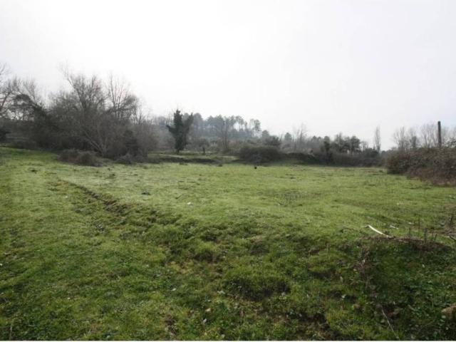 Terreno en venta en Arenas De San Pedro, Castilla y León