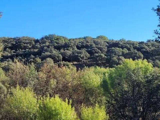 Terreno en venta en Arenas De San Pedro, Castilla y León