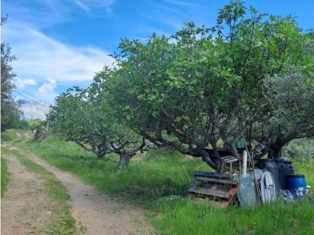 Terreno en venta en Arenas De San Pedro, Castilla y León