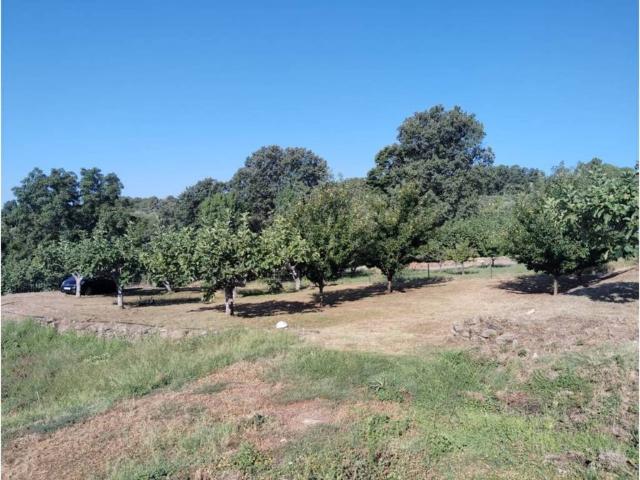Terreno en venta en Arenas De San Pedro