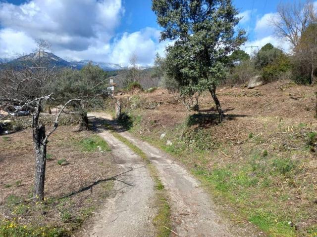 Terreno en venta en Arenas De San Pedro