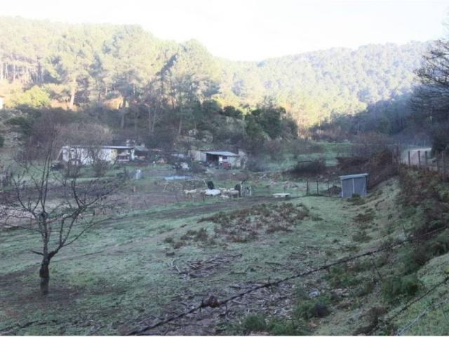 Terreno en venta en Arenas De San Pedro, Castilla y León