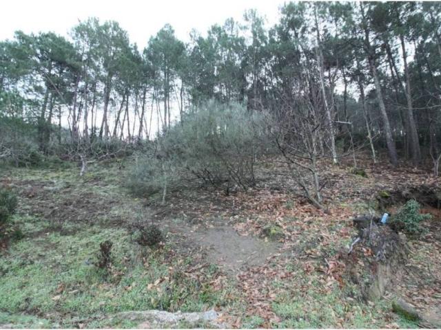 Terreno en venta en Arenas De San Pedro, Castilla y León