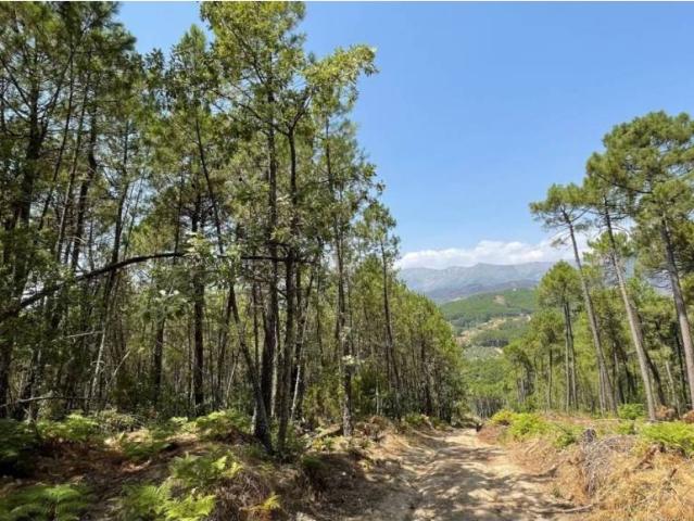 Terreno en venta en La Parra, Arenas De San Pedro