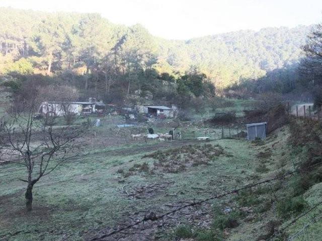Terreno en venta en Arenas De San Pedro