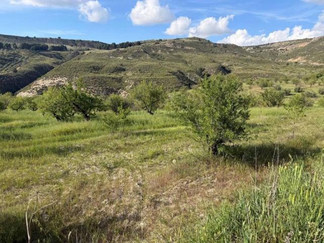 Terreno en venta en Comarca de Alhama, Andalucía