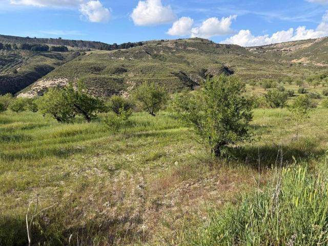 Terreno en venta en Comarca de Alhama, Andalucía