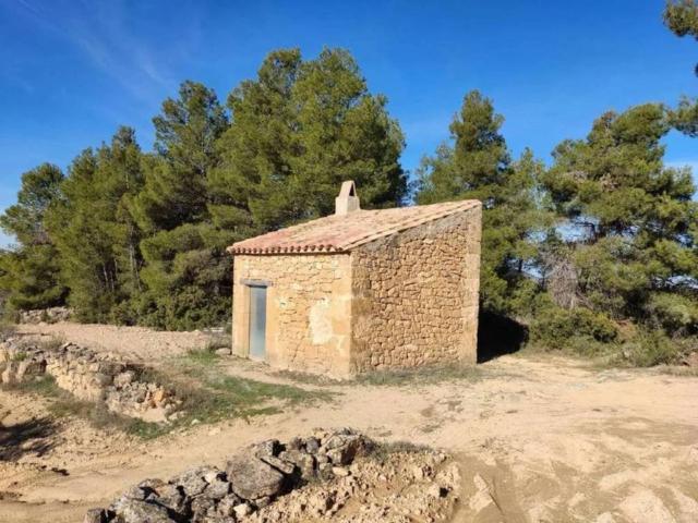 Terreno en venta en Arens De Lledó