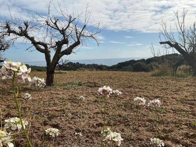 Terreno en venta en Maresme, Catalunya