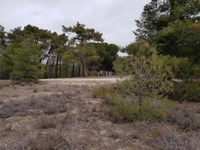 Terreno en venta en Arévalo