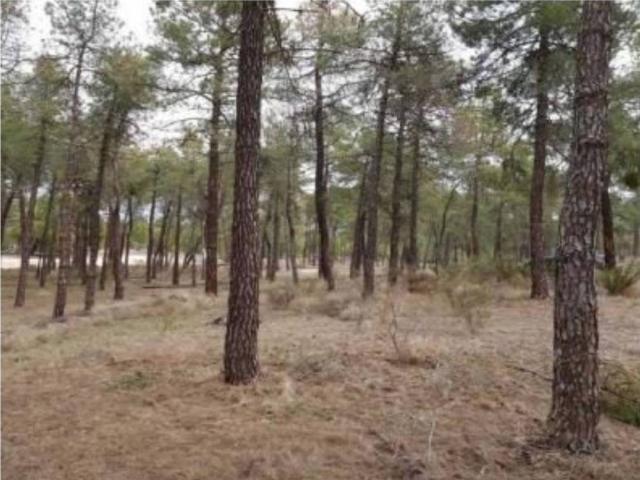 Terreno en venta en Arévalo
