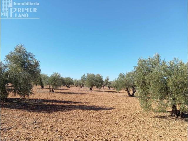 Terreno en venta en Argamasilla De Alba, Castilla-La Mancha