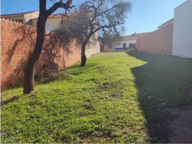 Terreno en venta en Argamasilla De Calatrava, Castilla-La Mancha