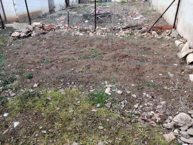 Terreno en venta en Argamasilla De Calatrava