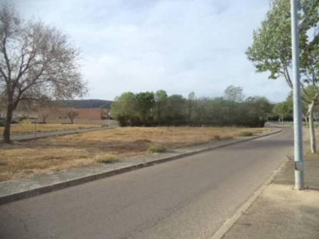 Terreno en venta en Argamasilla De Calatrava