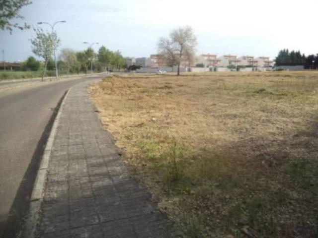 Terreno en venta en Argamasilla De Calatrava, Castilla-La Mancha