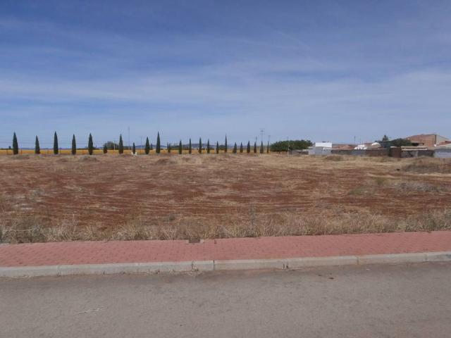 Terreno en venta en Argamasilla De Calatrava