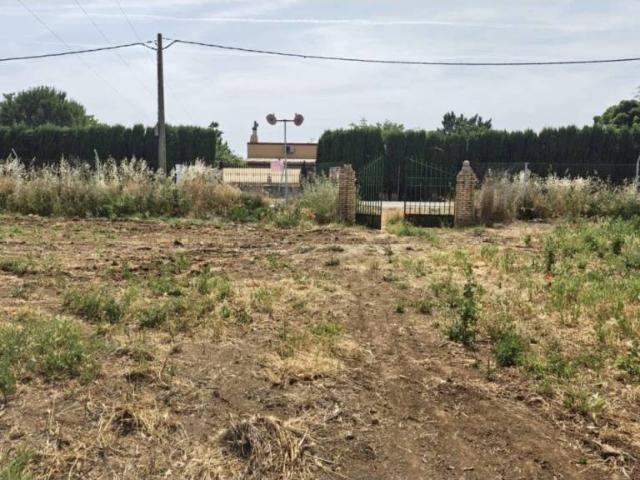 Terreno en venta en Argamasilla De Calatrava, Castilla-La Mancha