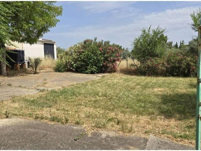 Terreno en venta en Argamasilla De Calatrava, Castilla-La Mancha