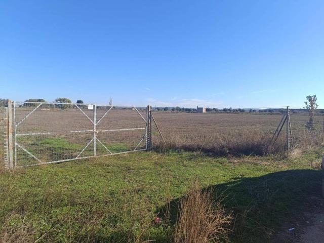 Terreno en venta en Argamasilla De Calatrava, Castilla-La Mancha