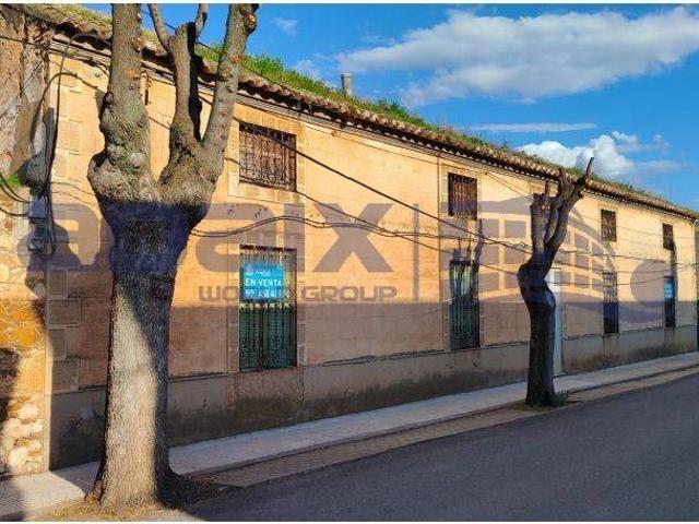 Terreno en venta en Argamasilla De Calatrava