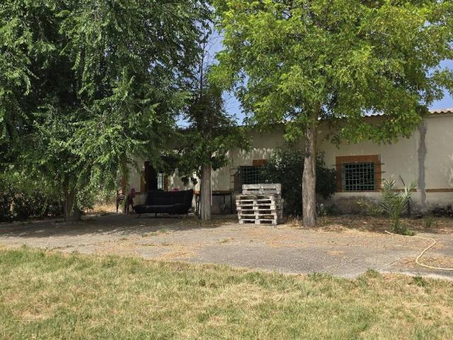 Terreno en venta en Argamasilla De Calatrava