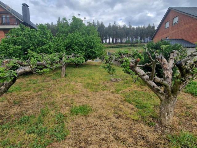 Terreno en venta en El Bierzo, Castilla y León