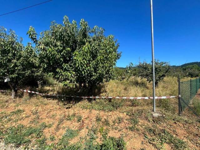 Terreno en venta en El Bierzo, Castilla y León