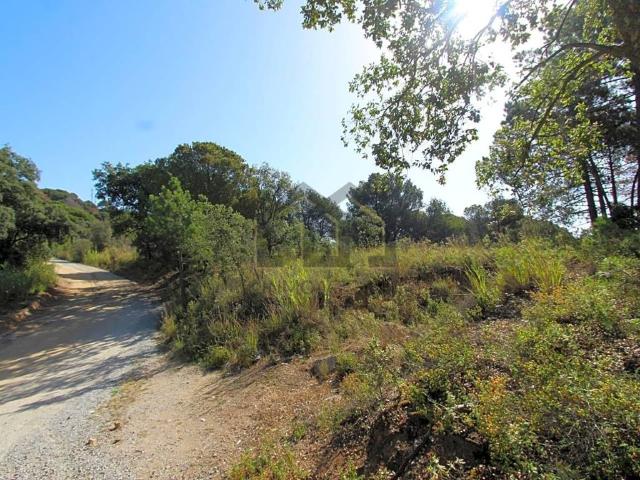 Terreno en venta en Maresme, Catalunya