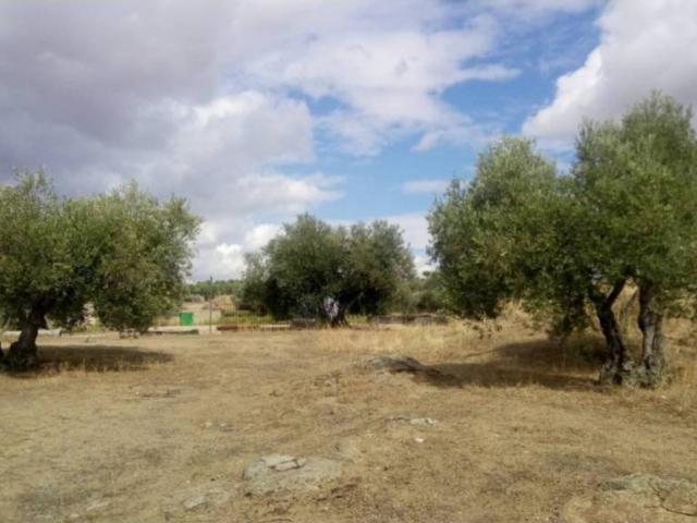 Terreno en venta en Argés