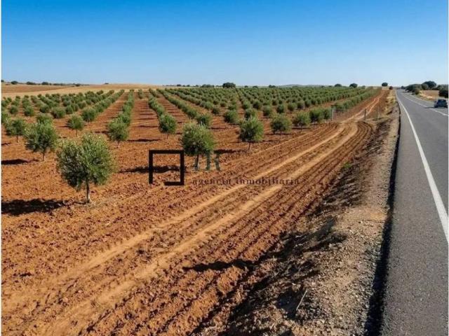 Terreno en venta en Argés, Castilla-La Mancha