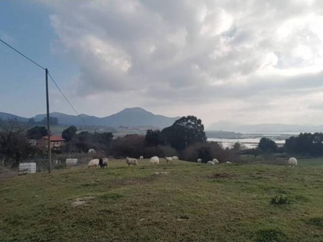 Terreno en venta en Argoños, Cantabria