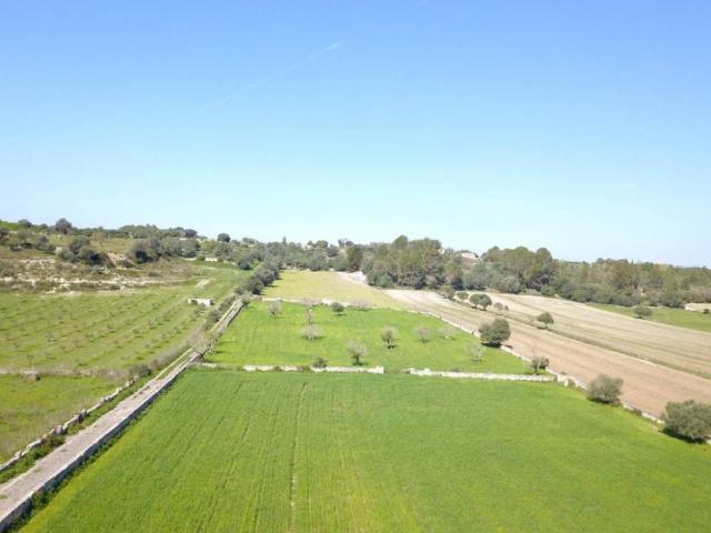 Terreno en venta en Pla de Mallorca, Baleares