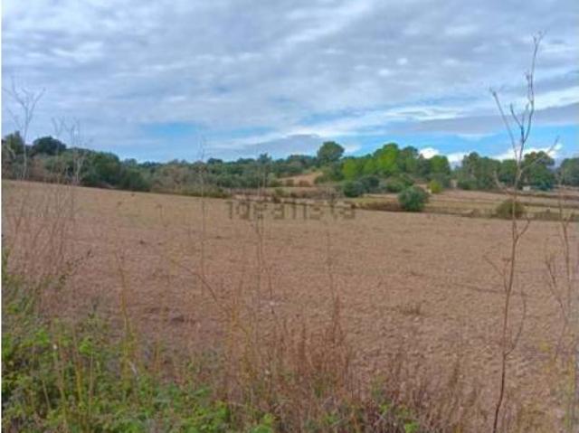 Terreno en venta en Pla de Mallorca, Baleares