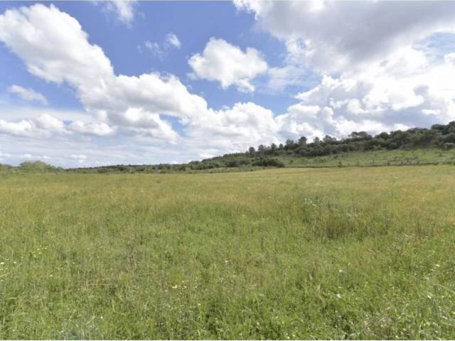 Terreno en venta en Pla de Mallorca, Baleares