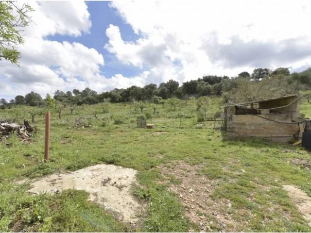 Terreno en venta en Pla de Mallorca, Baleares