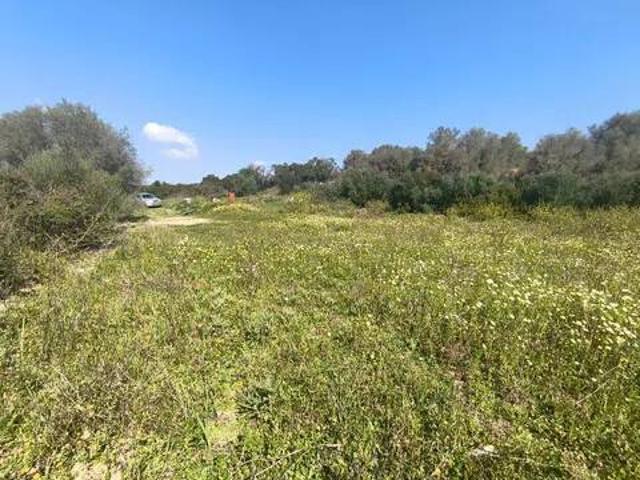 Terreno en venta en Pla de Mallorca, Baleares