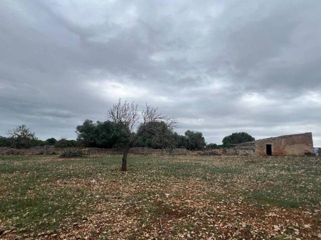 Terreno en venta en Pla de Mallorca, Baleares