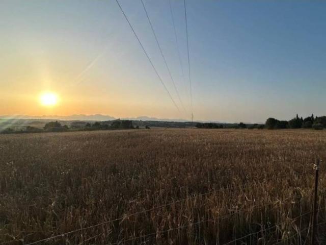 Terreno en venta en Pla de Mallorca, Baleares