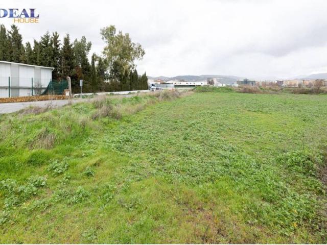 Terreno en venta en Comarca de la Vega de Granada, Andalucía