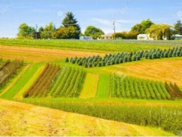 Terreno en venta en Añanako kuadrilla, Guipúzcoa