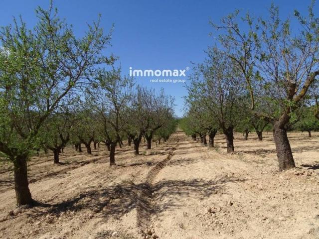 Terreno en venta en Terra Alta, Catalunya